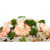 Tijeras de Cocina Fackelmann ABS Marisco