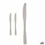 Set de Cuchillos Kinvara Plateado Acero Inoxidable 55,5 x 2 x 0,5 cm 6 x 24,5 x 1 cm 2 x 22,5 x 0,3 cm (12 Unidades)
