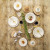 Plato de Postre Churchill Artic Cerámica Blanco Loza (Ø 20,5 cm) (6 Unidades)